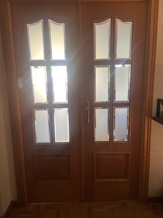 Puerta doble roble salón