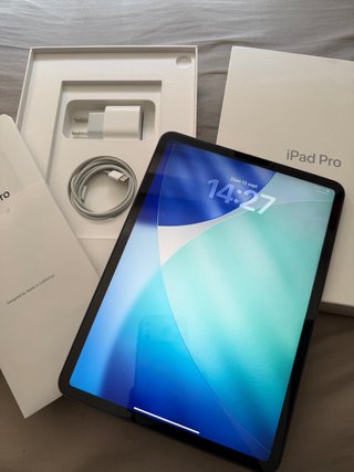 iPad Pro 11 Plata/Gris Espacial