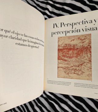 Libro Leonardo da Vinci: Cuadernos Edición de Lujo