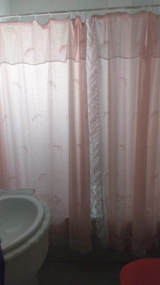 Cortinas baño rosas (2 ) con forro. Regalo barra .