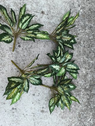 Set 5 Plantas Artificiales Dieffenbachia