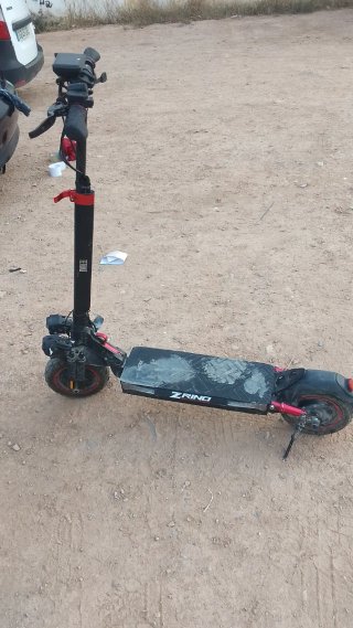 Patinete Eléctrico Z-Fling