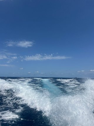 Bayliner 2250 Cobra V8 5,7 260CH barco + remolque