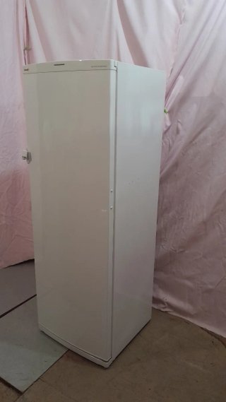 Congelador Vertical