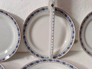 Set 6 Piatti Richard Ginori Porcellana Blu