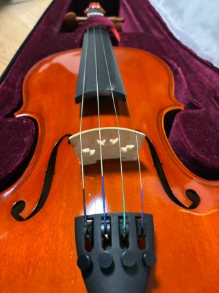 Violín Kreutzer SV-1C 4/4 con funda