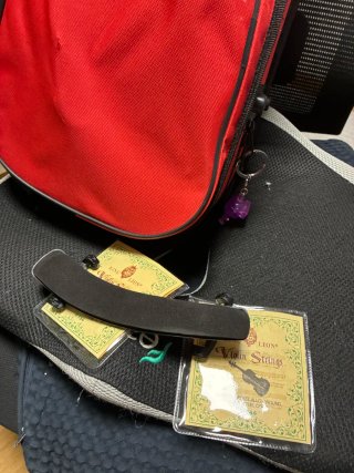 Violín Kreutzer SV-1C 4/4 con funda
