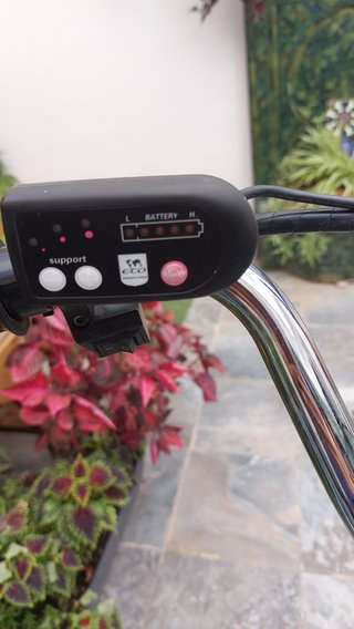 Bicicleta eléctrica 3 ruedas