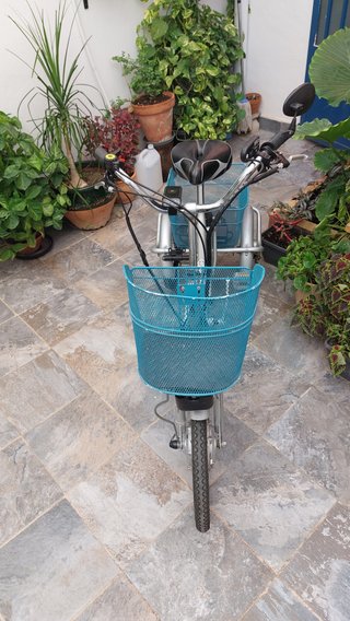 Bicicleta eléctrica 3 ruedas