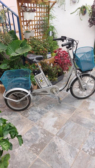 Bicicleta eléctrica 3 ruedas