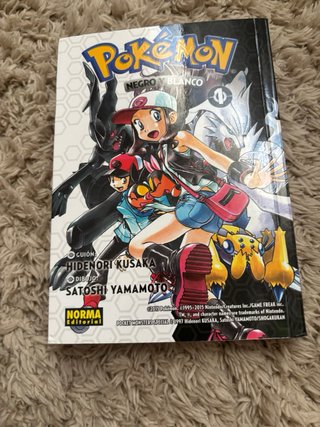 Colección de mangas de Pokemon