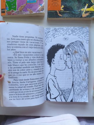 Lote  6 libros ( 4 alfaguara, 2 el barco de vapor)