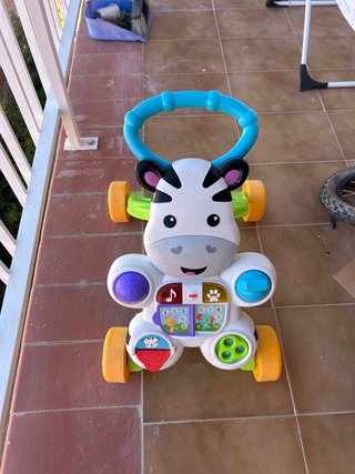 Cebra infantil