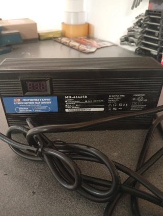 Cargador de carga rápida dualtron