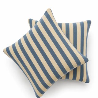 Pack 2 Cojines Montanary 45x45cm
