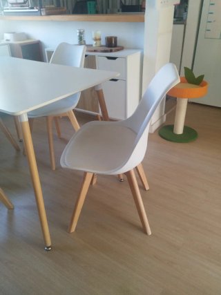 Mesa y 6 Sillas Comedor