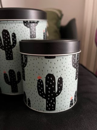 Set 3 barattoli Cactus Tiger