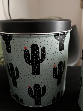 Set 3 barattoli Cactus Tiger