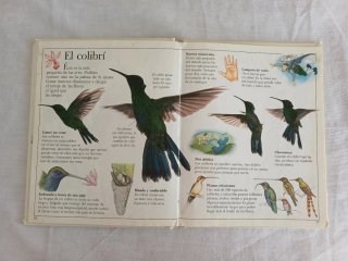 Libros infantiles de Naturaleza.