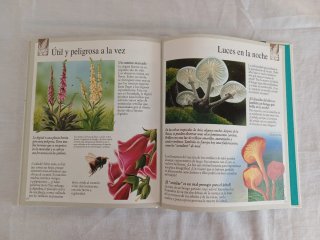 Libros infantiles de Naturaleza.