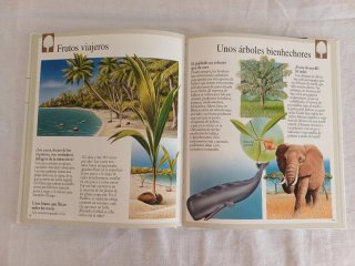 Libros infantiles de Naturaleza.