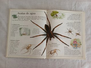 Libros infantiles de Naturaleza.