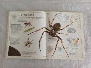 Libros infantiles de Naturaleza.