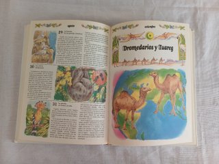 Libros infantiles de Naturaleza.
