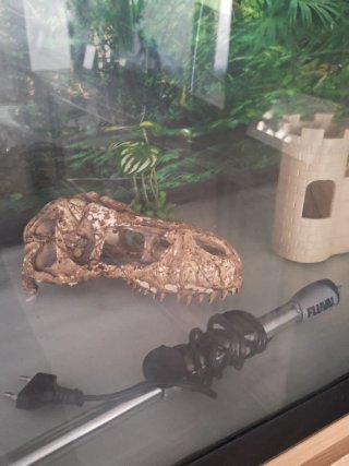 Acuario Fluval Roma 240L + Mueble + Filtro