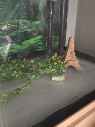 Acuario Fluval Roma 240L + Mueble + Filtro