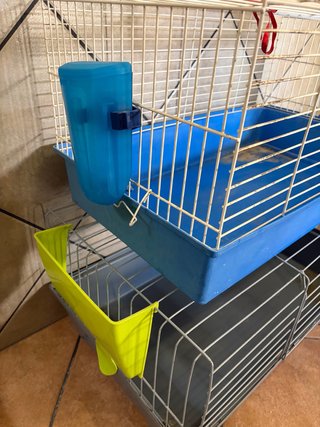 Jaula para conejos con accesorios