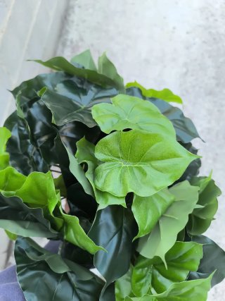Set 10 Plantas Artificiales Filodendro