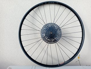 29 x30 rueda eBike Enduro trasera Boost nueva.30 m