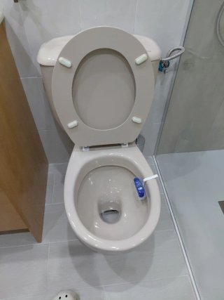 Taza de WC Beige