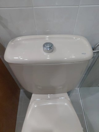 Taza de WC Beige