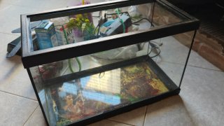 Acuario Fontana 20L Negro con luz