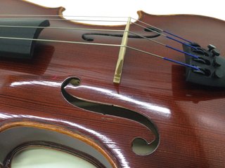 viola corina dueto 16