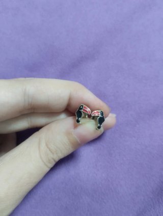 Pendientes tucán plata