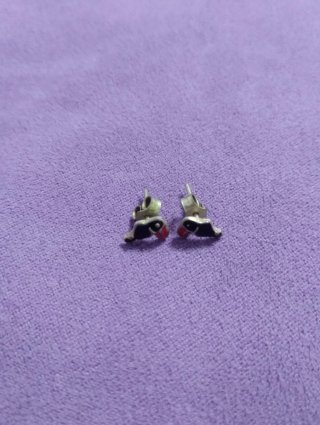 Pendientes tucán plata