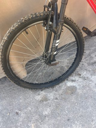 Bici B-Pro 24