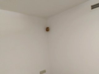 Servicio de pintura económico