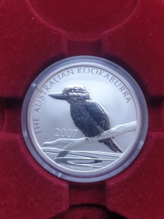 Kookaburra Plata 2007