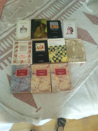 Lote de libros literatura clásica