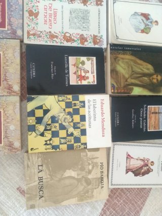 Lote de libros literatura clásica