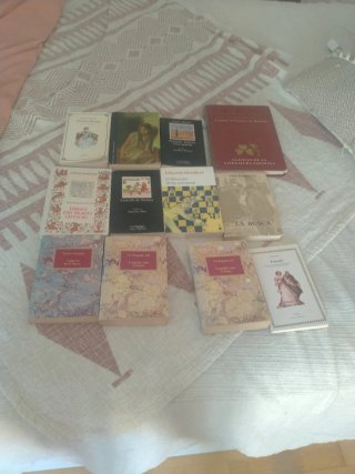 Lote de libros literatura clásica