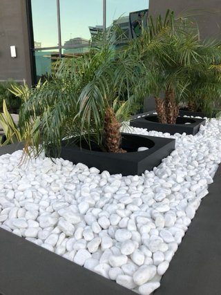Piedras blancas decorativas para jardín