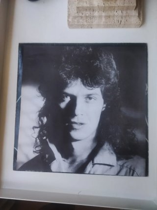 Vinilo Phil Carmen - Wise Monkeys LP PDI 1986