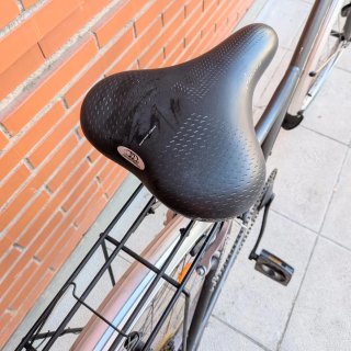 Bicicleta de paseo Urbana Gris