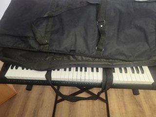 Casio CTK-3200 con soporte y funda