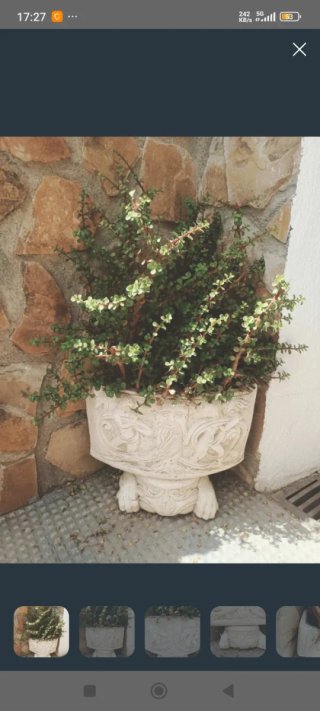 Jardinera de piedra con pie